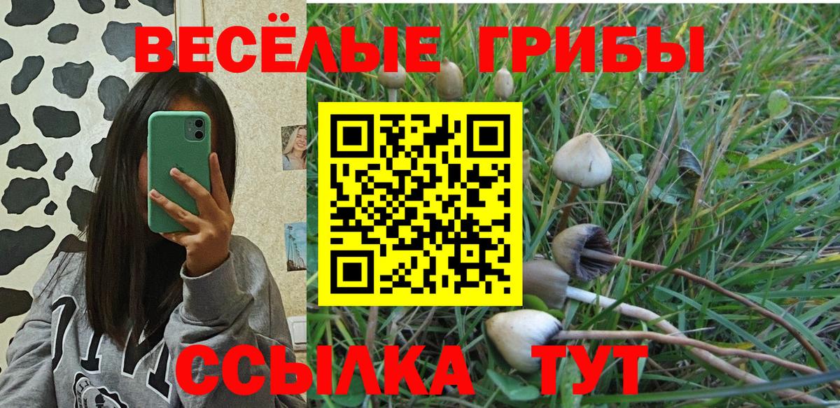 наркотики  Псилоцибиновые грибы ЛСД  Вход с VPN  Прохладный 