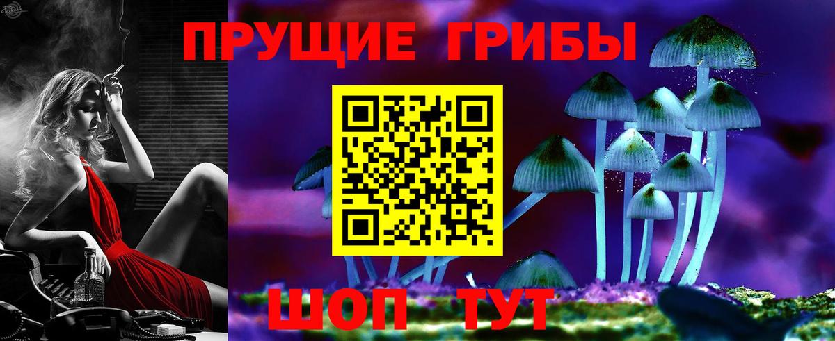 Псилоцибиновые грибы ЛСД Прохладный